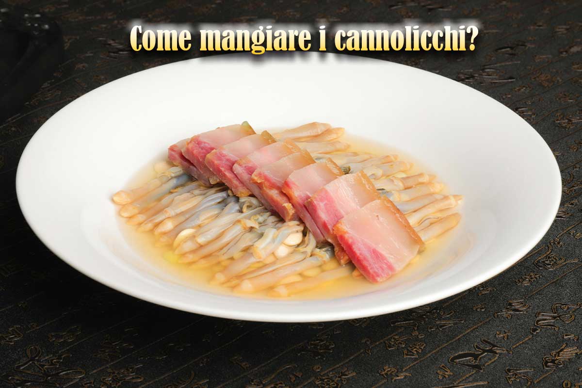 cannolicchi
