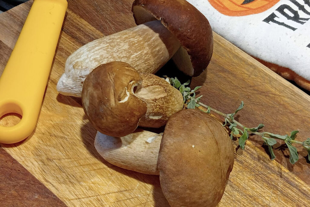 Tagliatelle con crema di zucca e funghi porcini